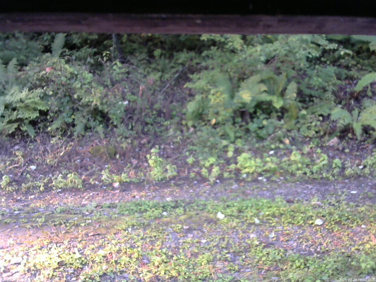 長野県菅平高原 ゆたか山荘 南側 2025/09/24 06:00