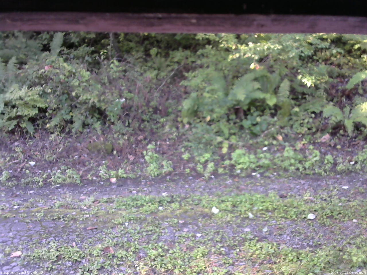 長野県菅平高原 ゆたか山荘 南側 2025/09/24 06:45
