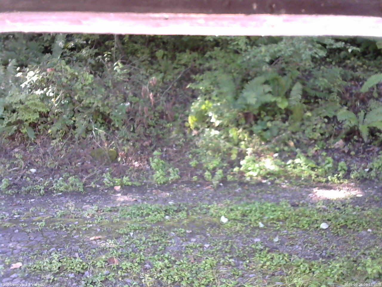 長野県菅平高原 ゆたか山荘 南側 2025/09/24 08:15