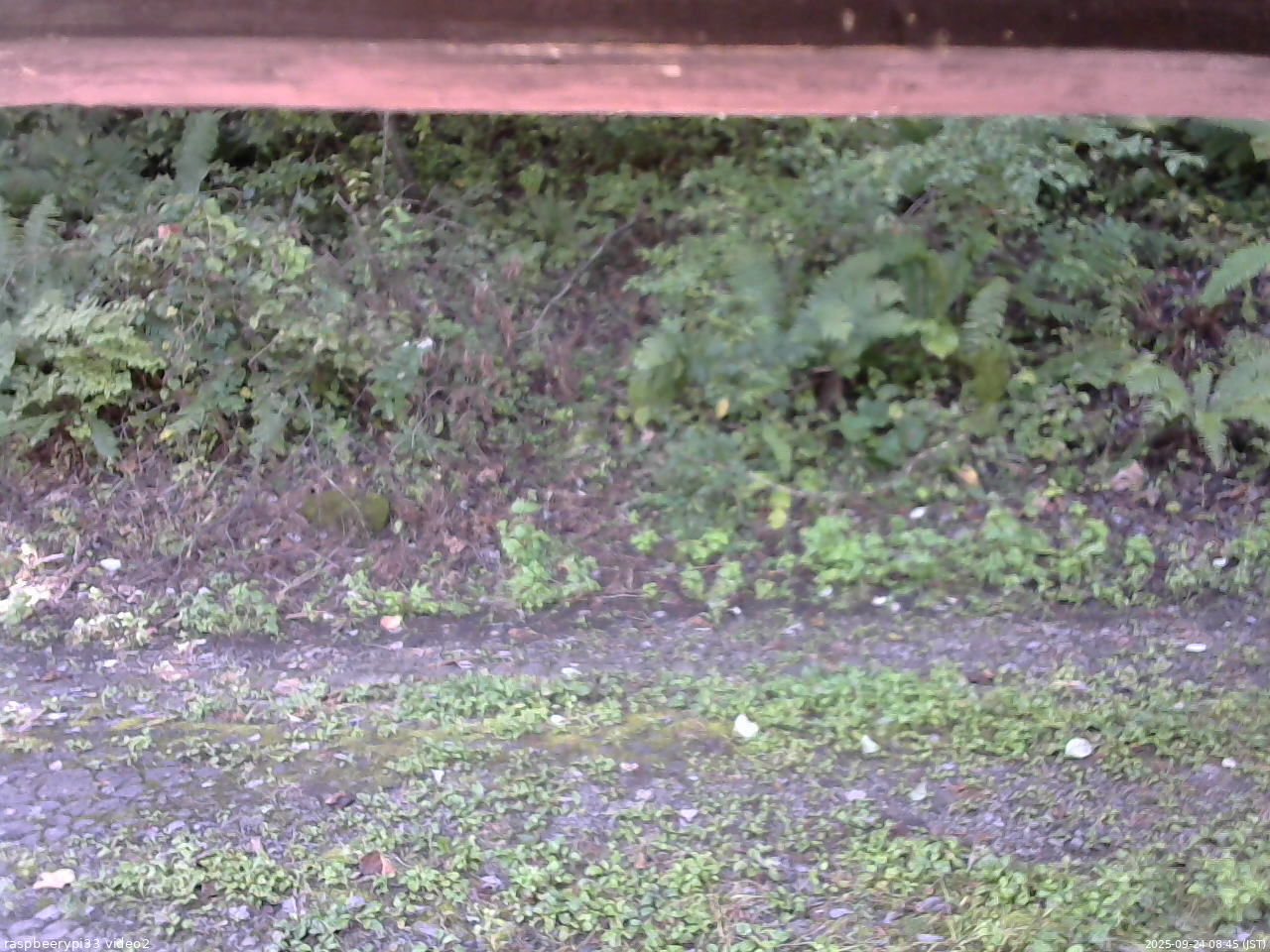 長野県菅平高原 ゆたか山荘 南側 2025/09/24 08:45