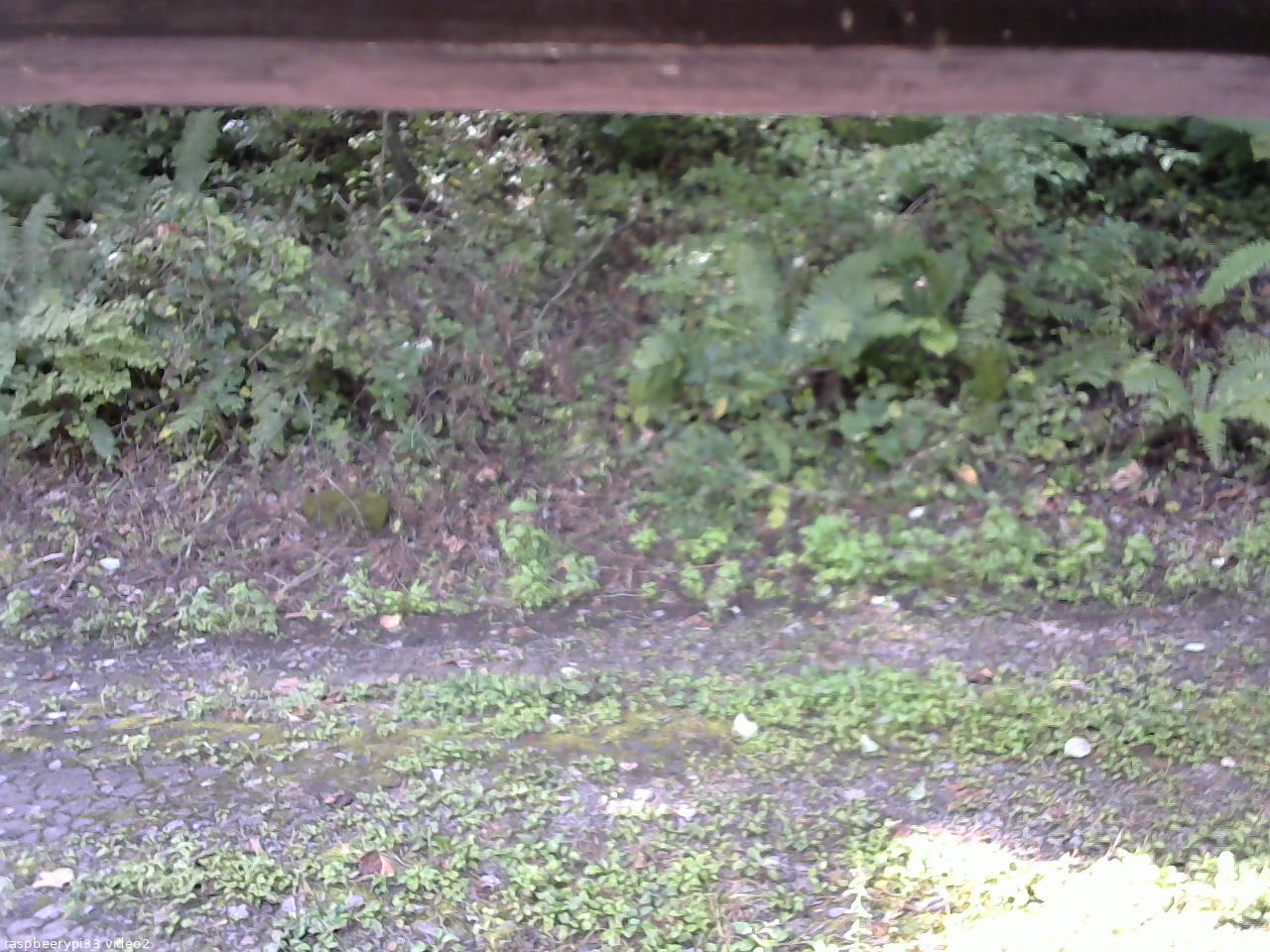 長野県菅平高原 ゆたか山荘 南側 2025/09/24 09:15