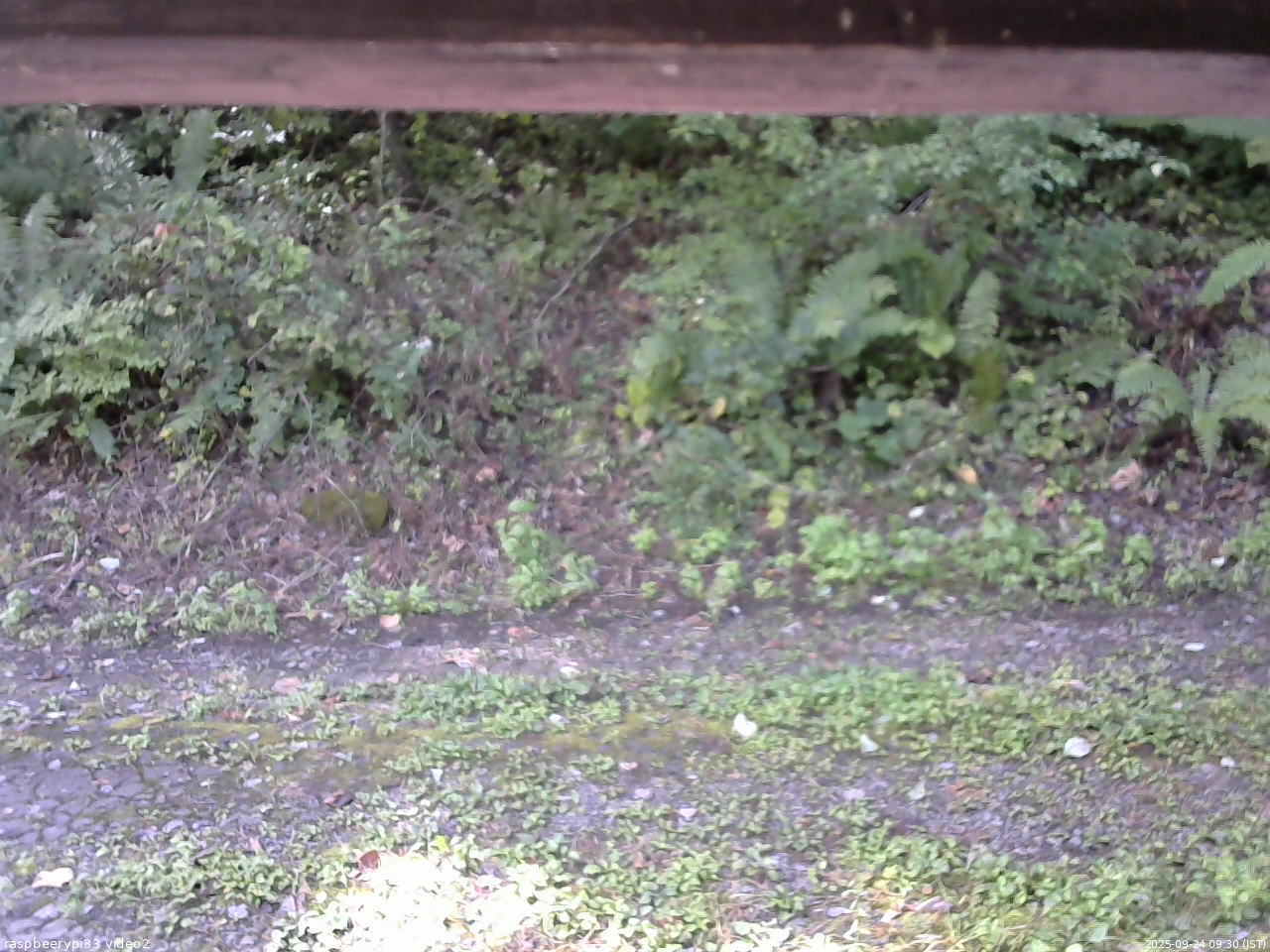 長野県菅平高原 ゆたか山荘 南側 2025/09/24 09:30