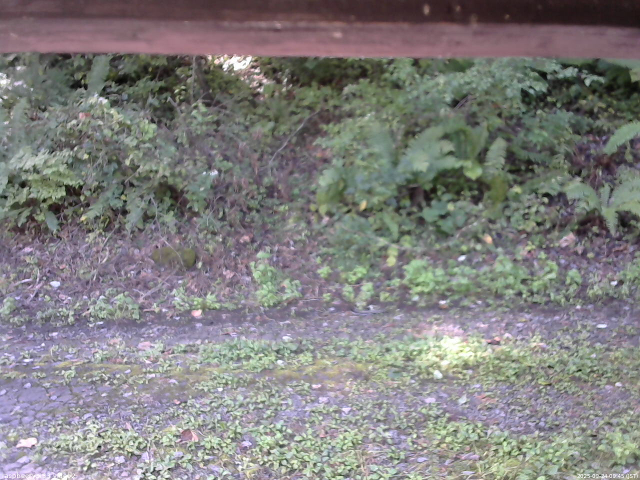 長野県菅平高原 ゆたか山荘 南側 2025/09/24 09:45