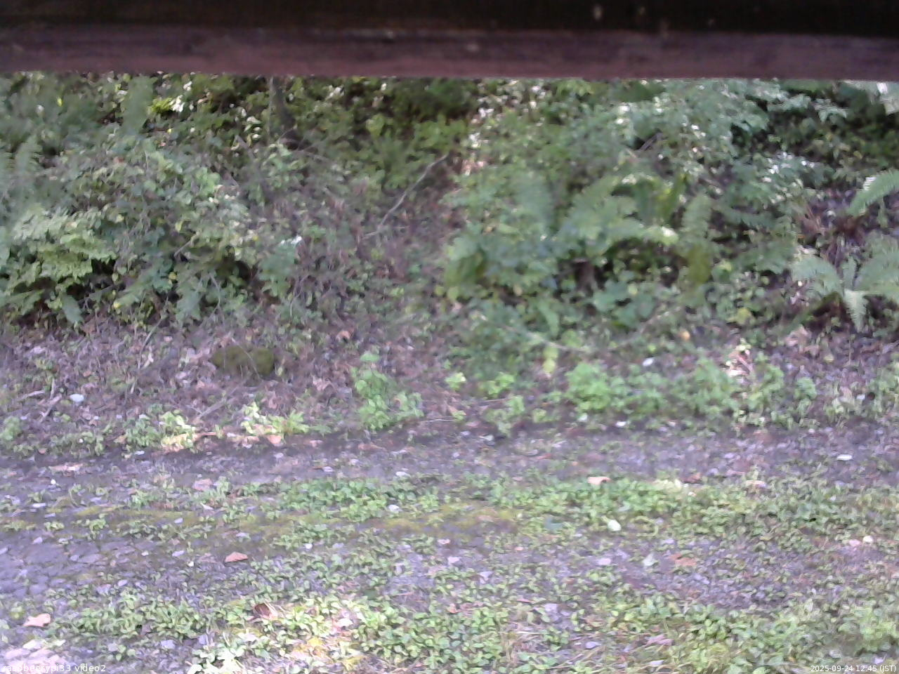 長野県菅平高原 ゆたか山荘 南側 2025/09/24 12:45