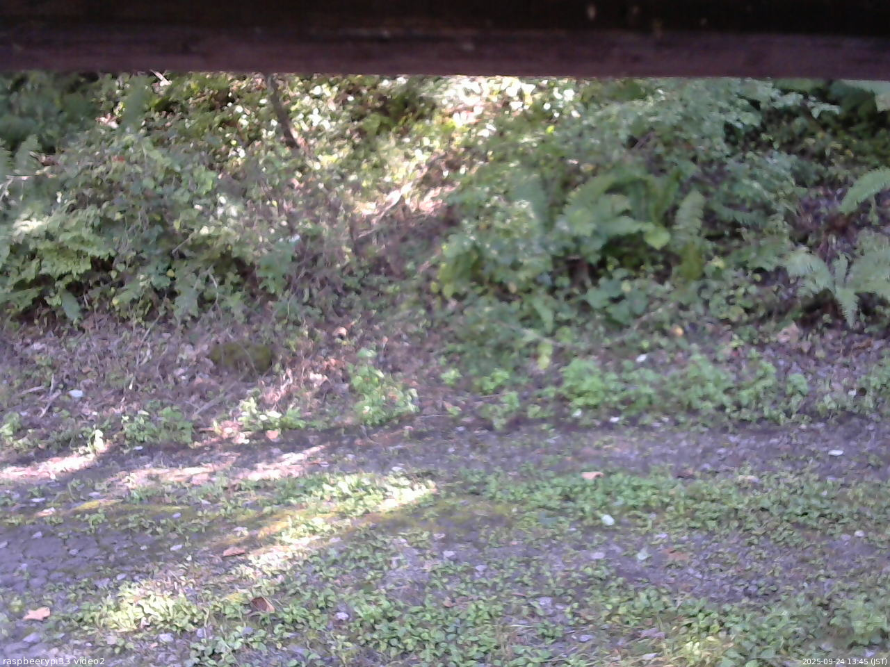 長野県菅平高原 ゆたか山荘 南側 2025/09/24 13:45