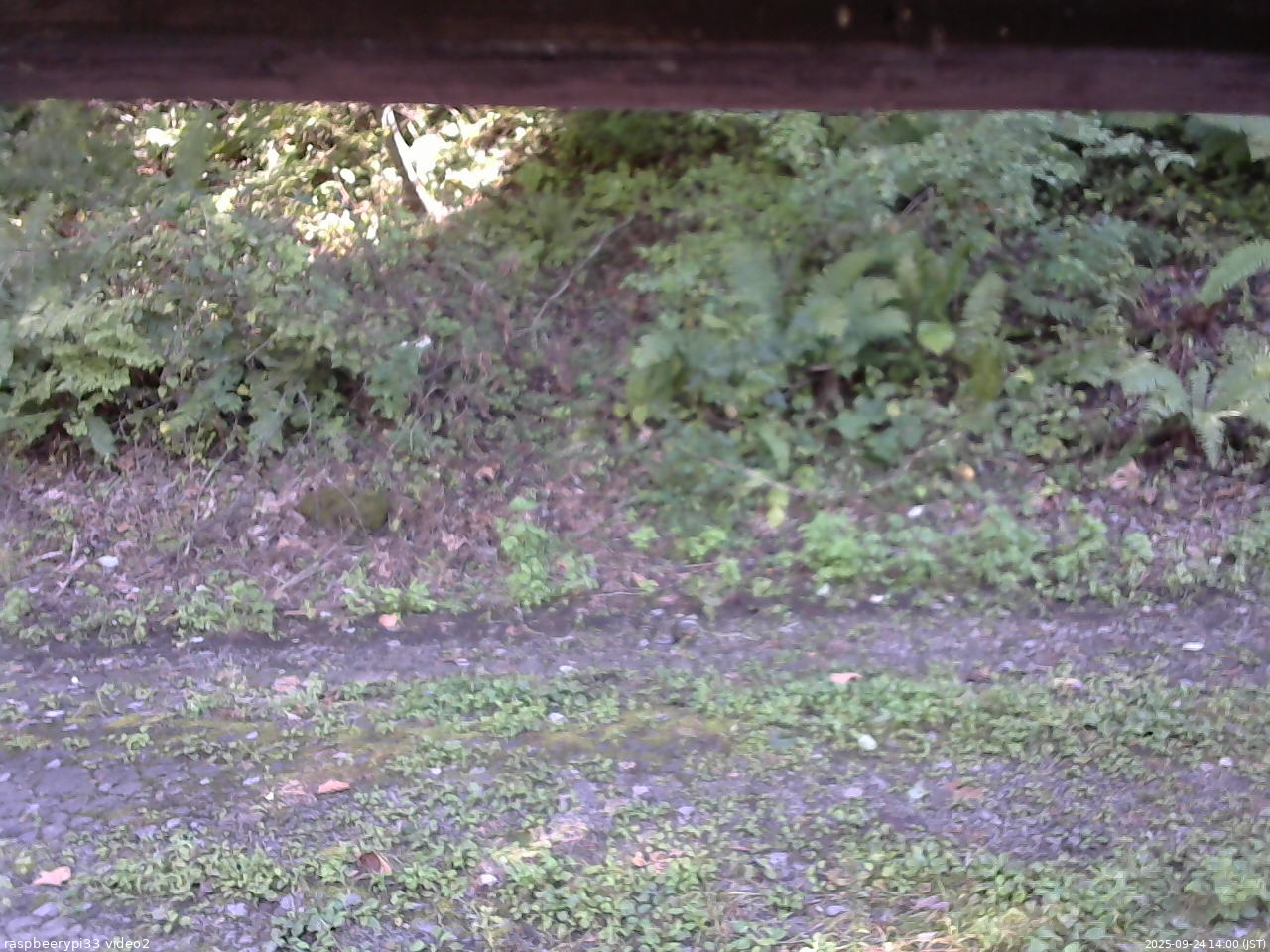 長野県菅平高原 ゆたか山荘 南側 2025/09/24 14:00