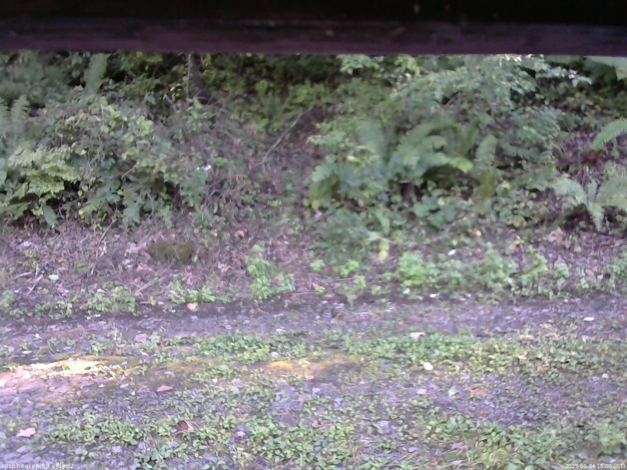 長野県菅平高原 ゆたか山荘 南側 2025/09/24 15:00