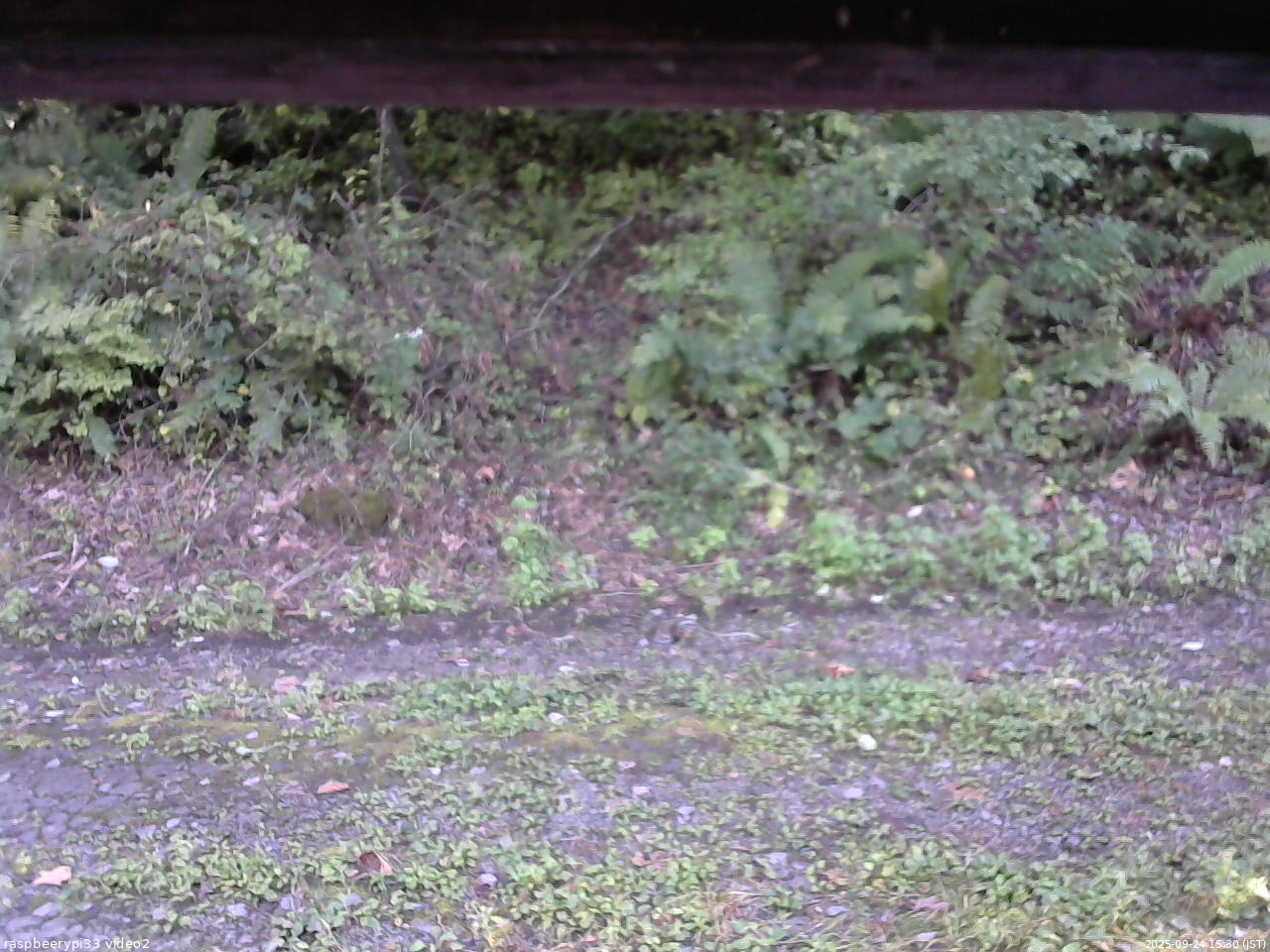 長野県菅平高原 ゆたか山荘 南側 2025/09/24 15:30