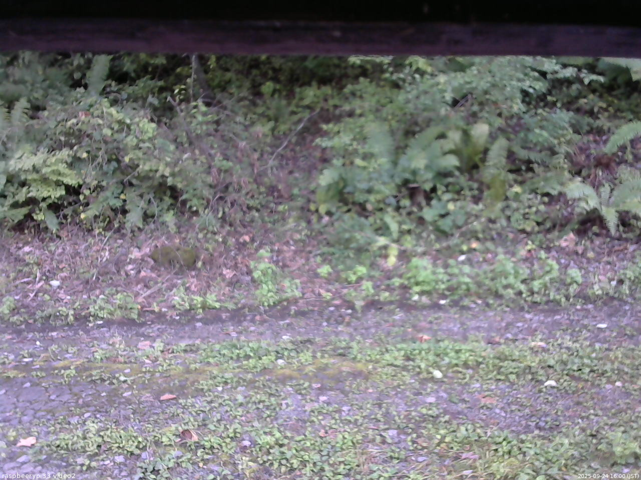 長野県菅平高原 ゆたか山荘 南側 2025/09/24 16:00