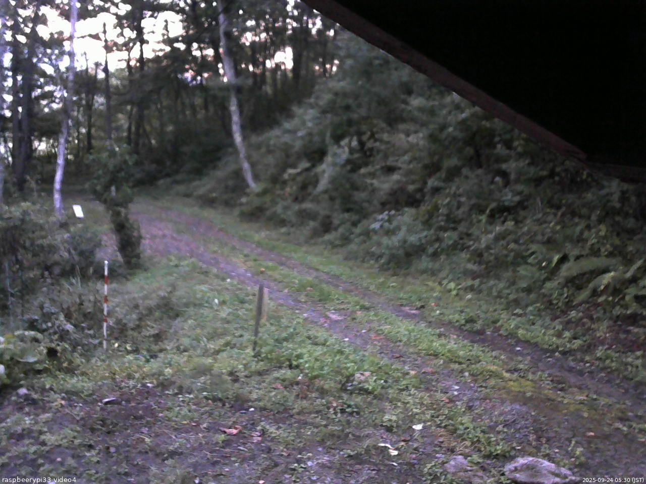 長野県菅平高原 ゆたか山荘 東側(坂下) 2025/09/24 05:30