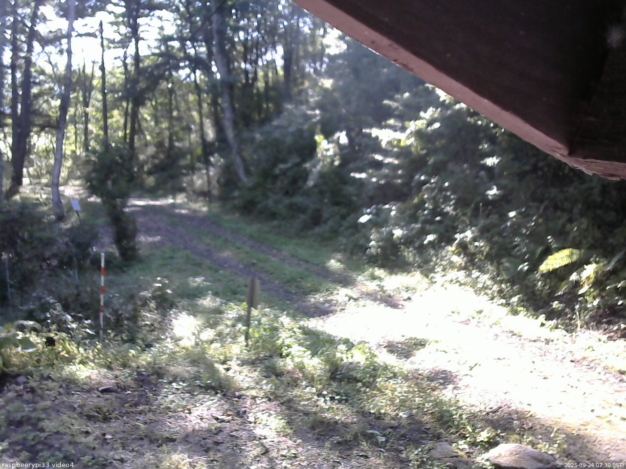 長野県菅平高原 ゆたか山荘 東側(坂下) 2025/09/24 07:30
