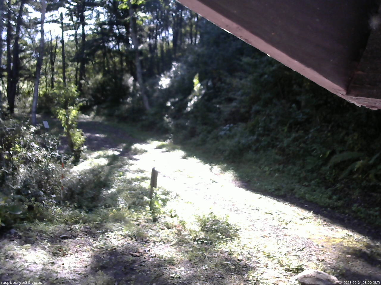 長野県菅平高原 ゆたか山荘 東側(坂下) 2025/09/24 08:00