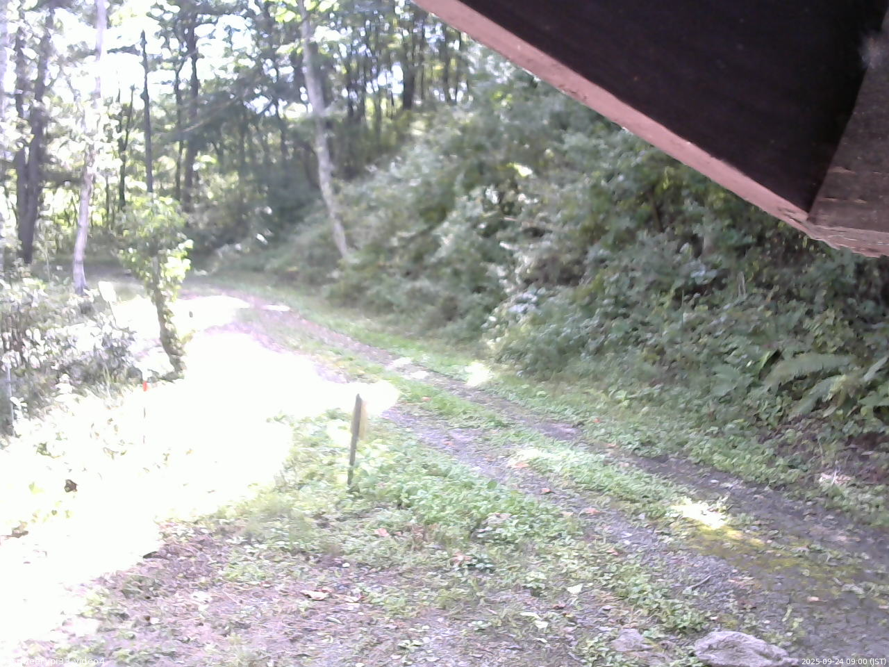 長野県菅平高原 ゆたか山荘 東側(坂下) 2025/09/24 09:00
