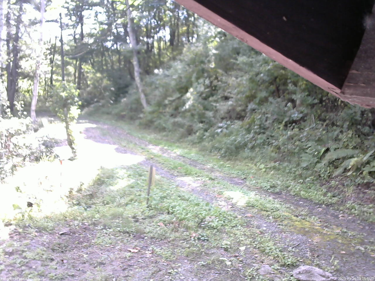 長野県菅平高原 ゆたか山荘 東側(坂下) 2025/09/24 09:15