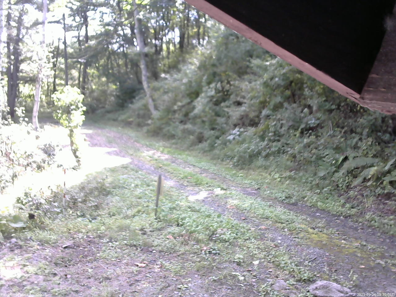 長野県菅平高原 ゆたか山荘 東側(坂下) 2025/09/24 09:30