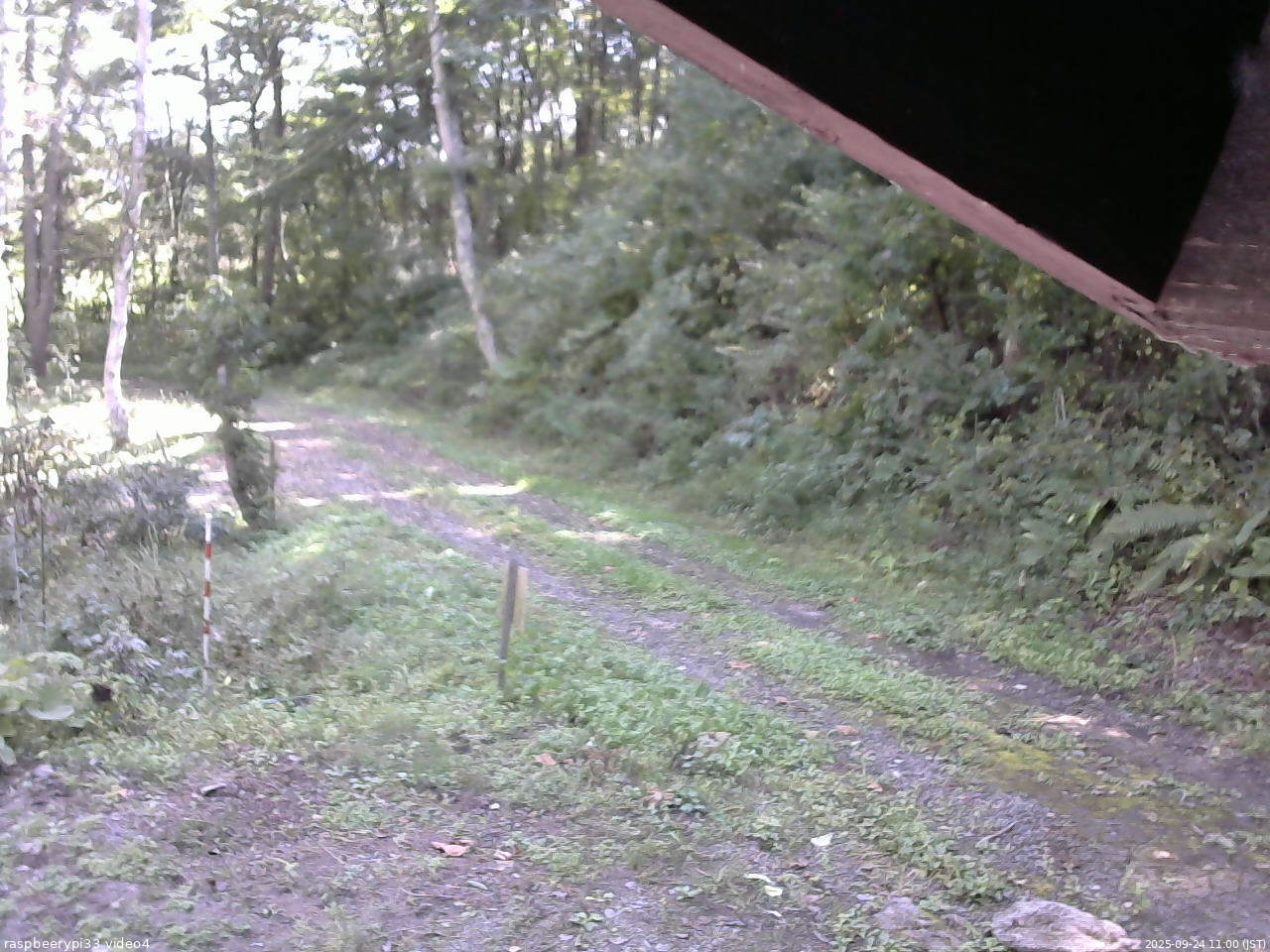 長野県菅平高原 ゆたか山荘 東側(坂下) 2025/09/24 11:00