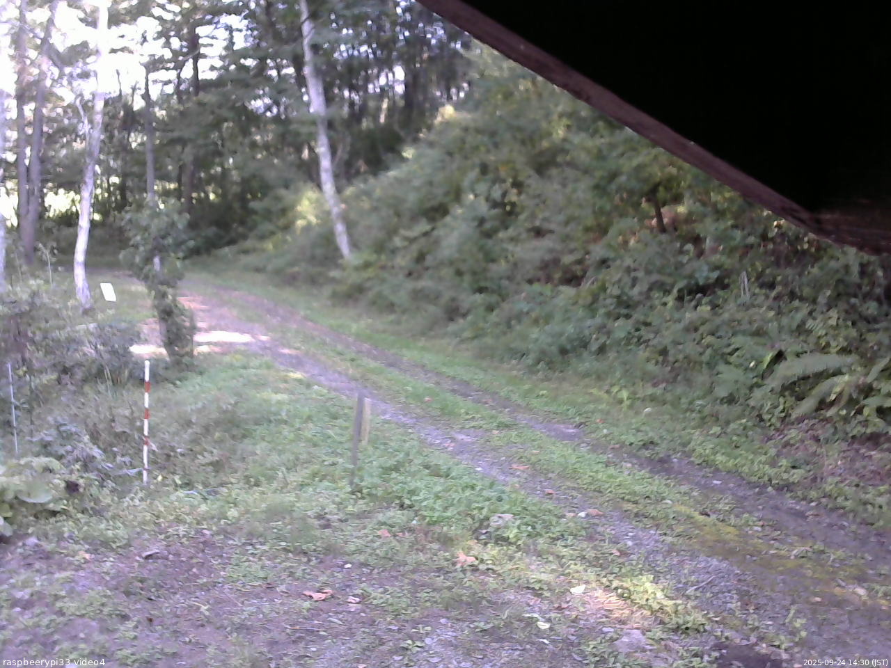 長野県菅平高原 ゆたか山荘 東側(坂下) 2025/09/24 14:30