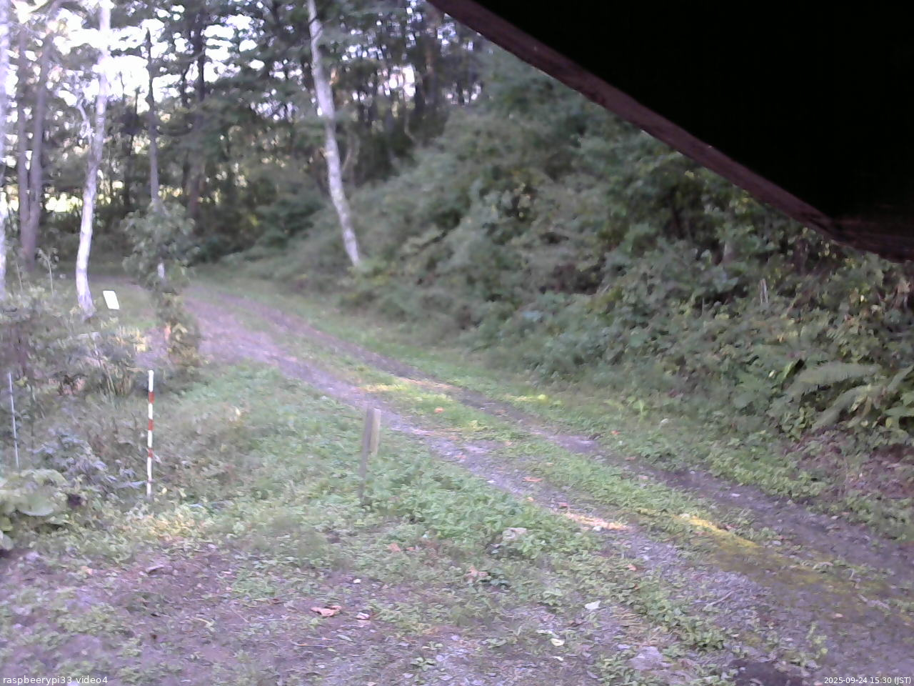 長野県菅平高原 ゆたか山荘 東側(坂下) 2025/09/24 15:30