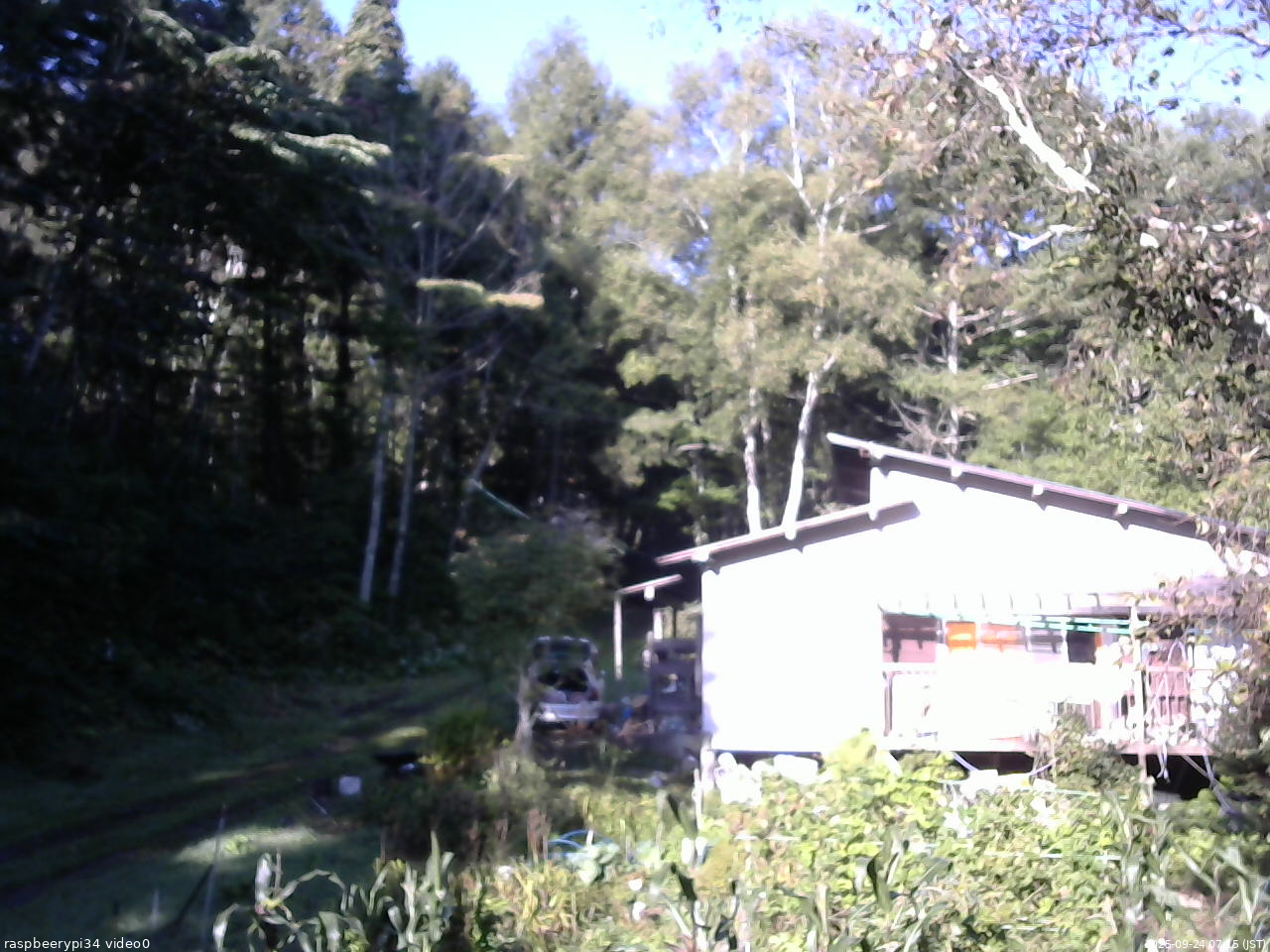 長野県菅平高原 ゆたか山荘 西側(坂上) 2025/09/24 07:15