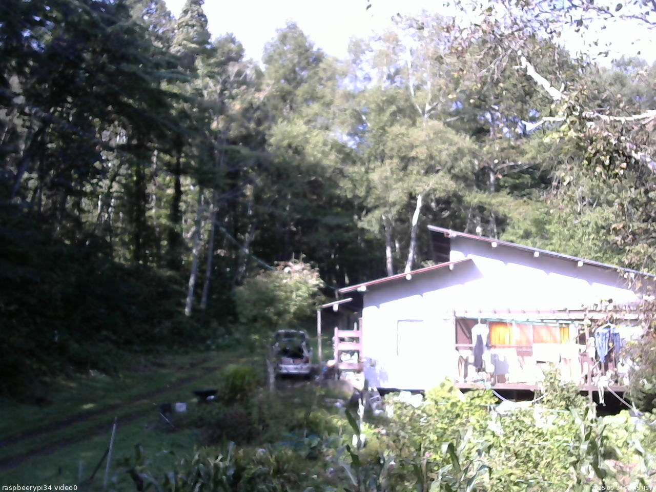 長野県菅平高原 ゆたか山荘 西側(坂上) 2025/09/24 08:45
