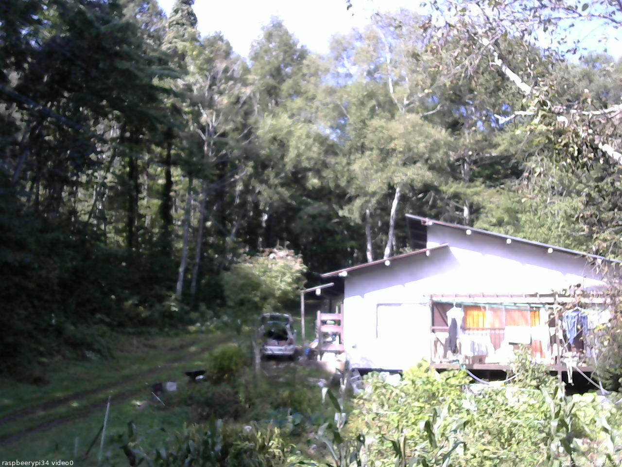長野県菅平高原 ゆたか山荘 西側(坂上) 2025/09/24 09:15