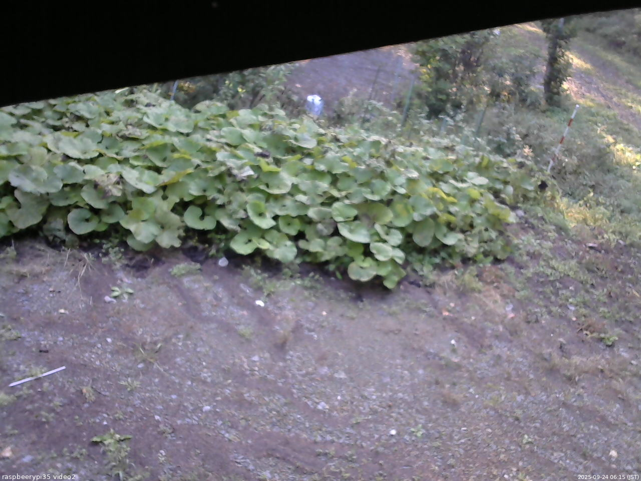 長野県菅平高原 ゆたか山荘 駐車場 2025/09/24 06:15