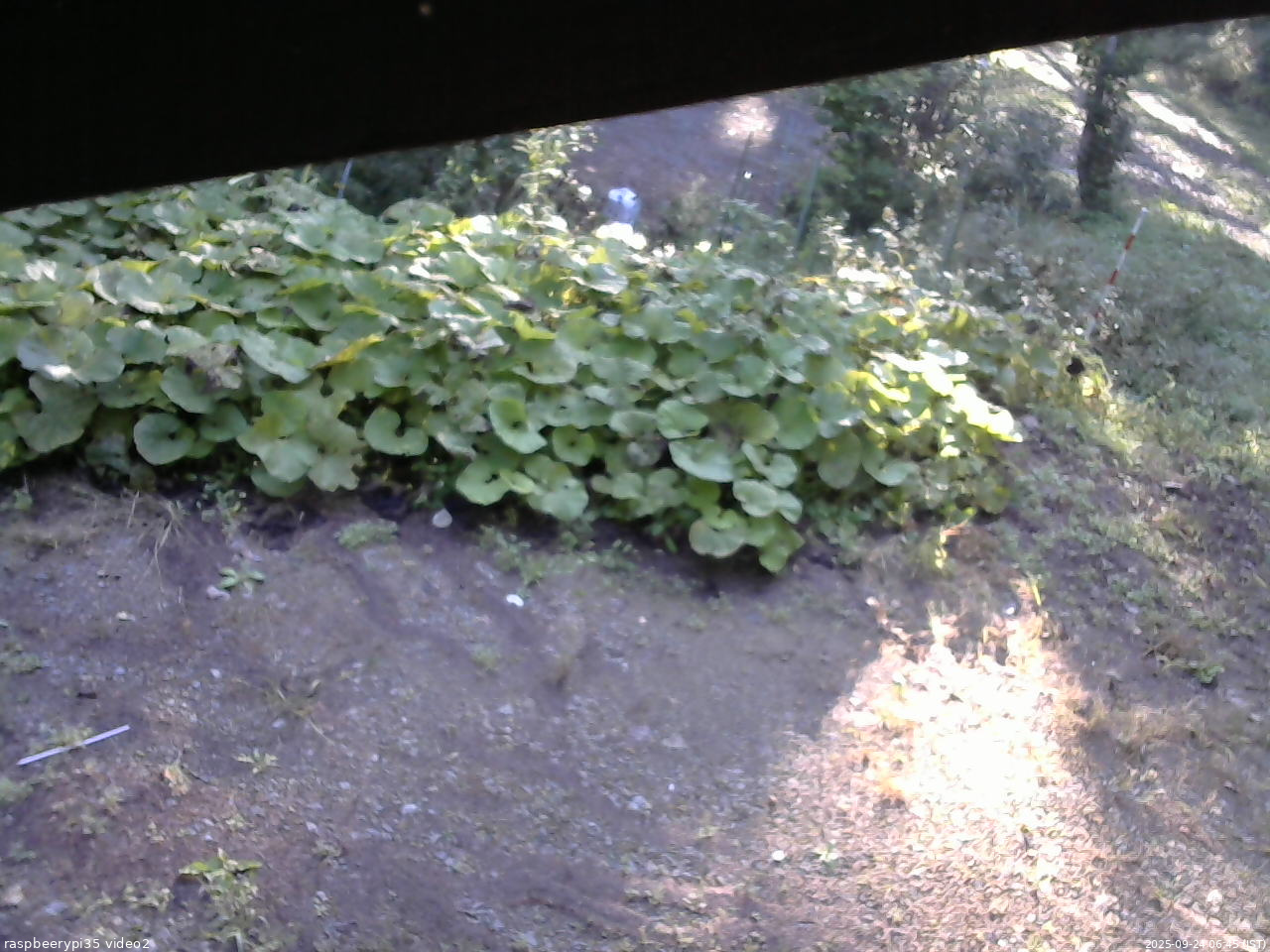長野県菅平高原 ゆたか山荘 駐車場 2025/09/24 06:45
