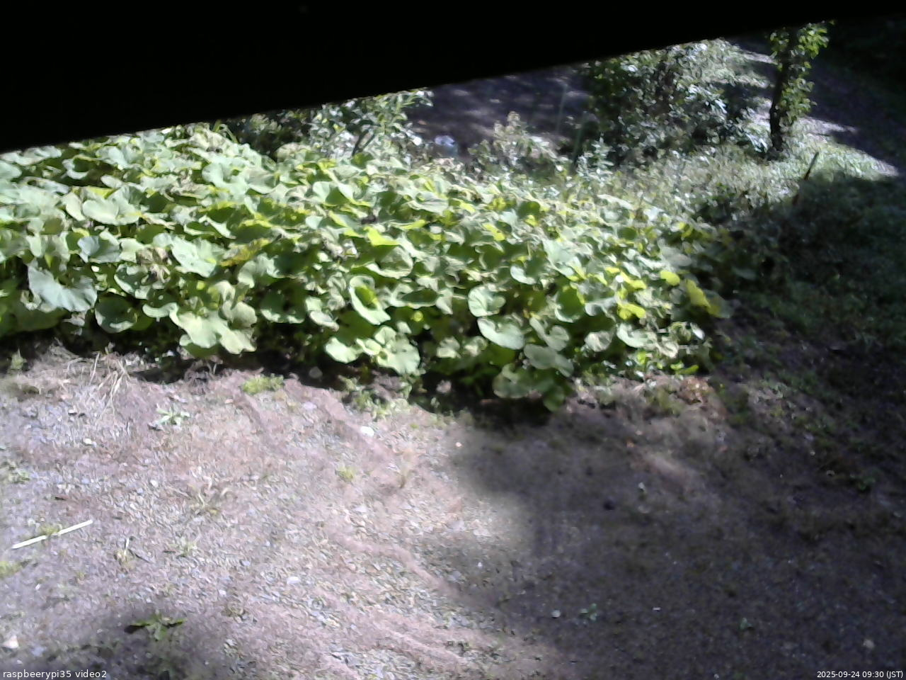 長野県菅平高原 ゆたか山荘 駐車場 2025/09/24 09:30