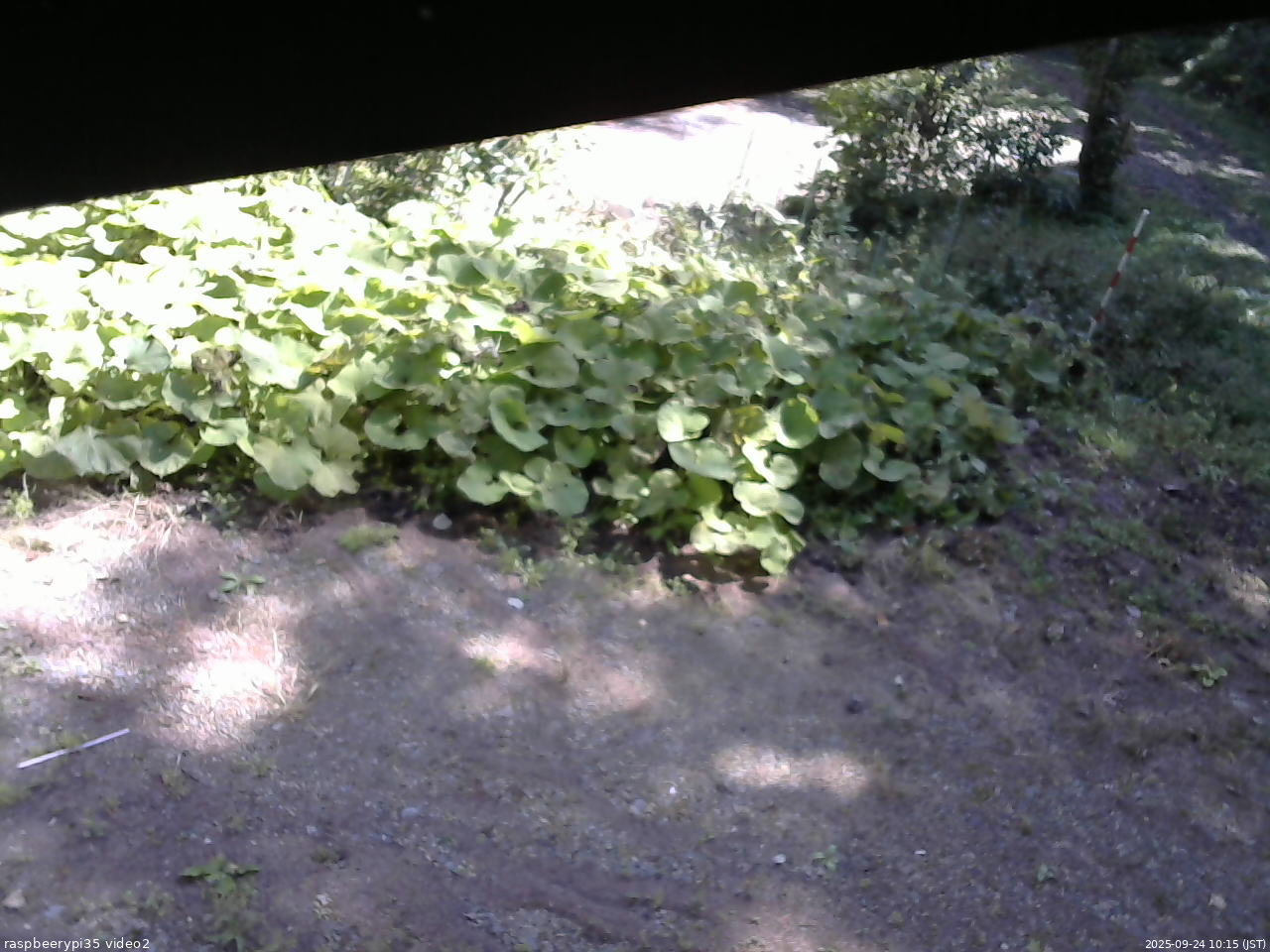 長野県菅平高原 ゆたか山荘 駐車場 2025/09/24 10:15