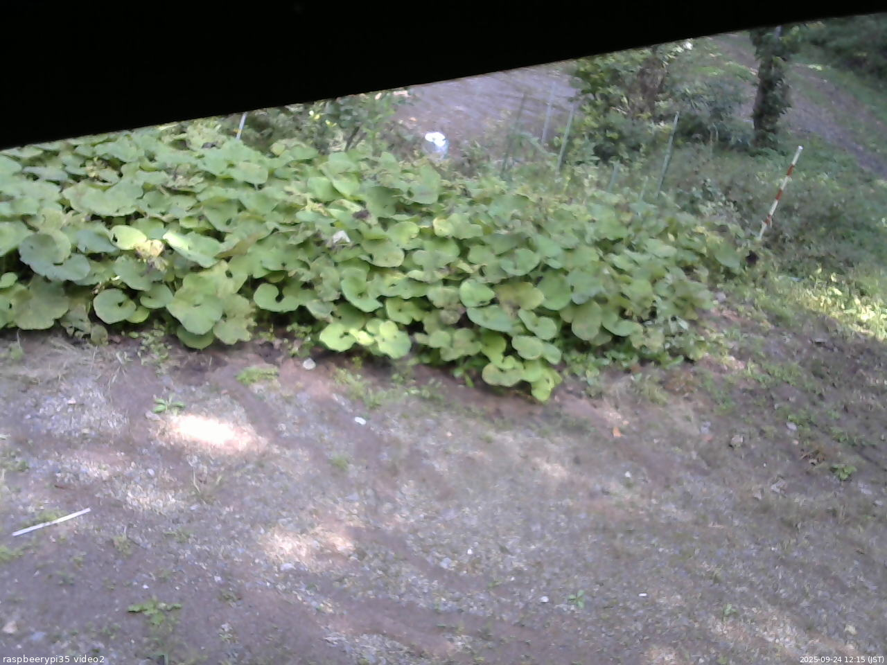 長野県菅平高原 ゆたか山荘 駐車場 2025/09/24 12:15