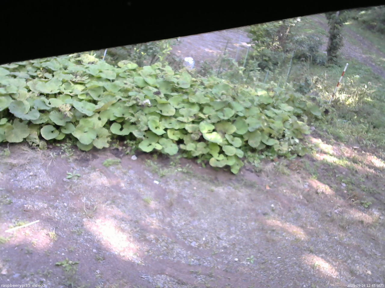 長野県菅平高原 ゆたか山荘 駐車場 2025/09/24 12:45