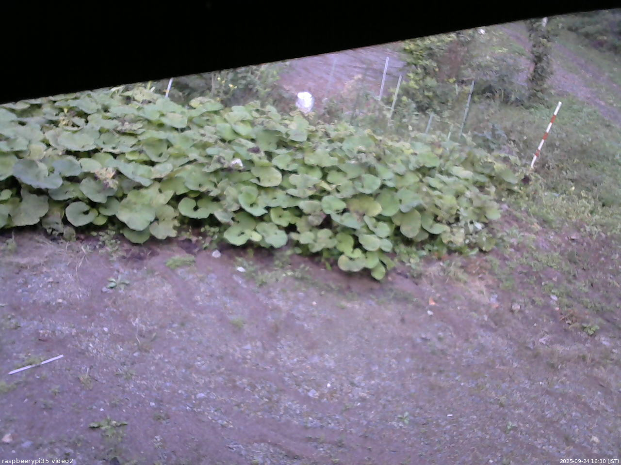 長野県菅平高原 ゆたか山荘 駐車場 2025/09/24 16:30