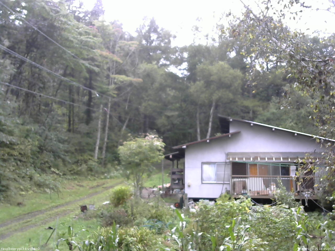 長野県菅平高原 ゆたか山荘 西側(坂上) 2025/09/25 14:45