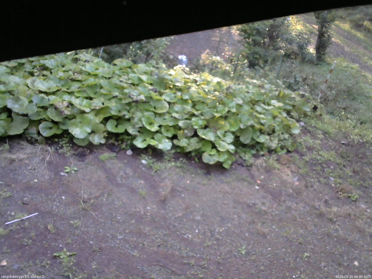 長野県菅平高原 ゆたか山荘 駐車場 2025/09/25 06:00