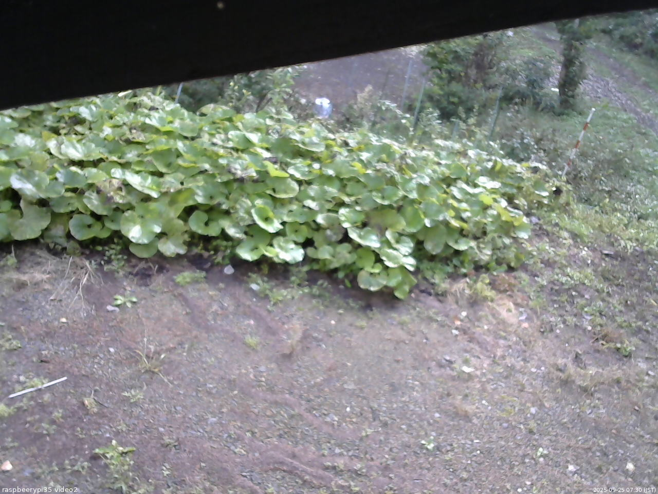 長野県菅平高原 ゆたか山荘 駐車場 2025/09/25 07:30