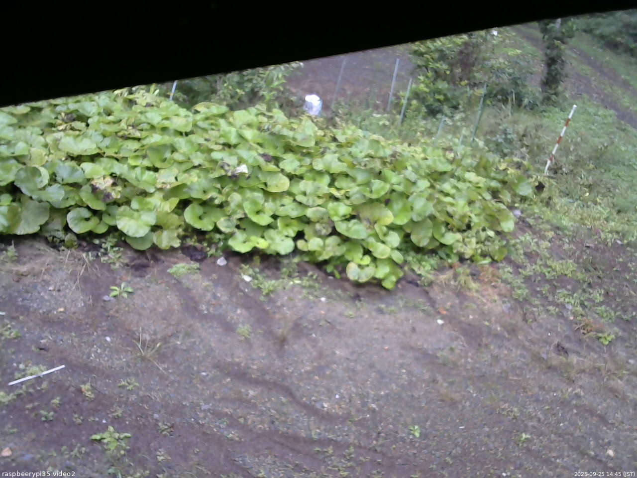 長野県菅平高原 ゆたか山荘 駐車場 2025/09/25 14:45