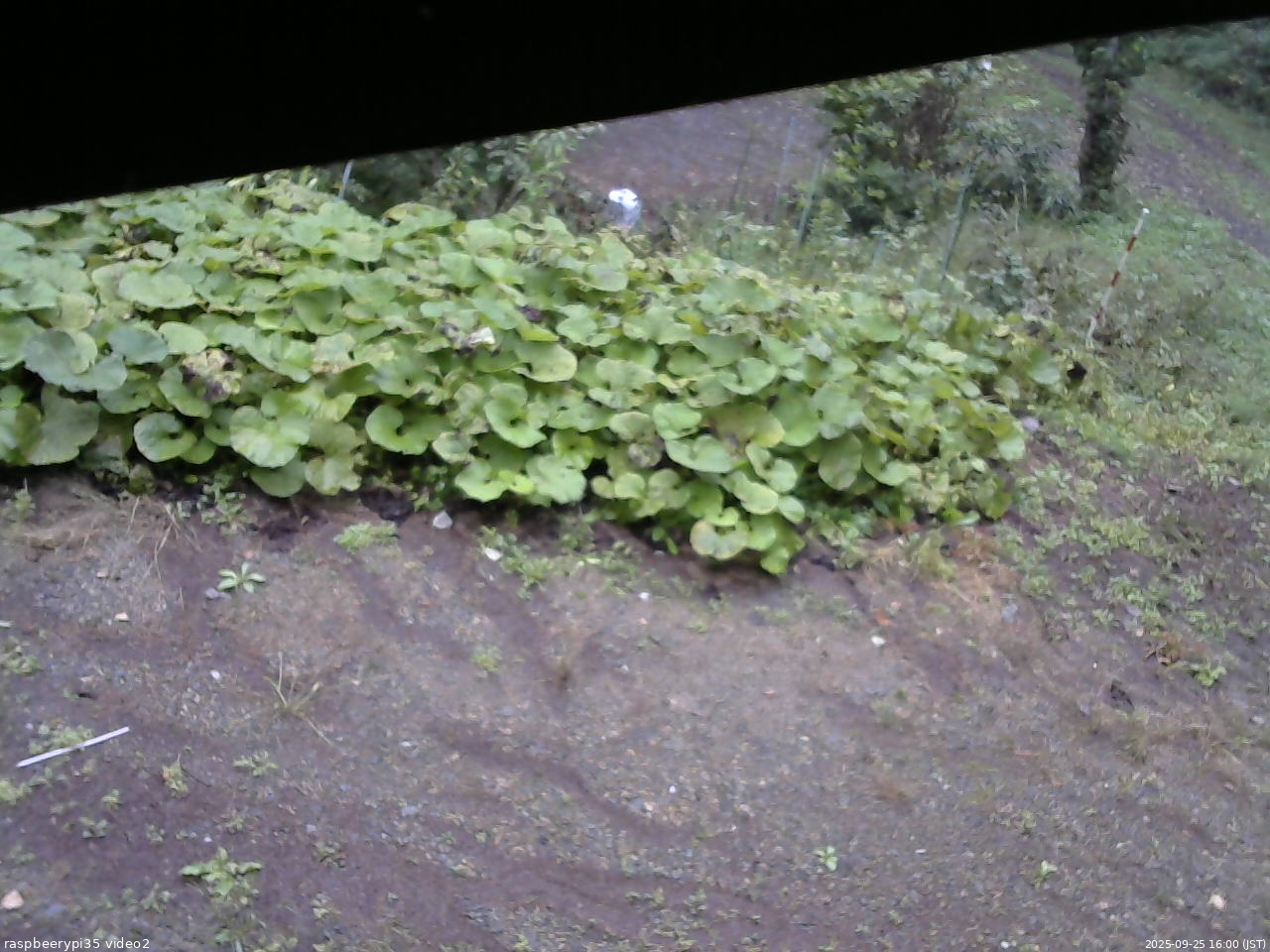 長野県菅平高原 ゆたか山荘 駐車場 2025/09/25 16:00