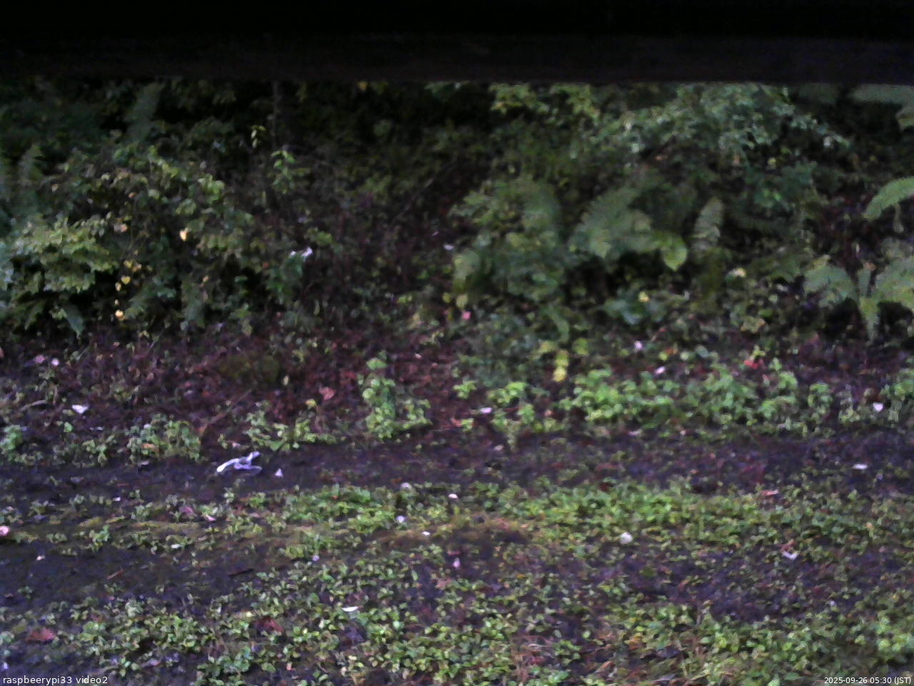 長野県菅平高原 ゆたか山荘 南側 2025/09/26 05:30