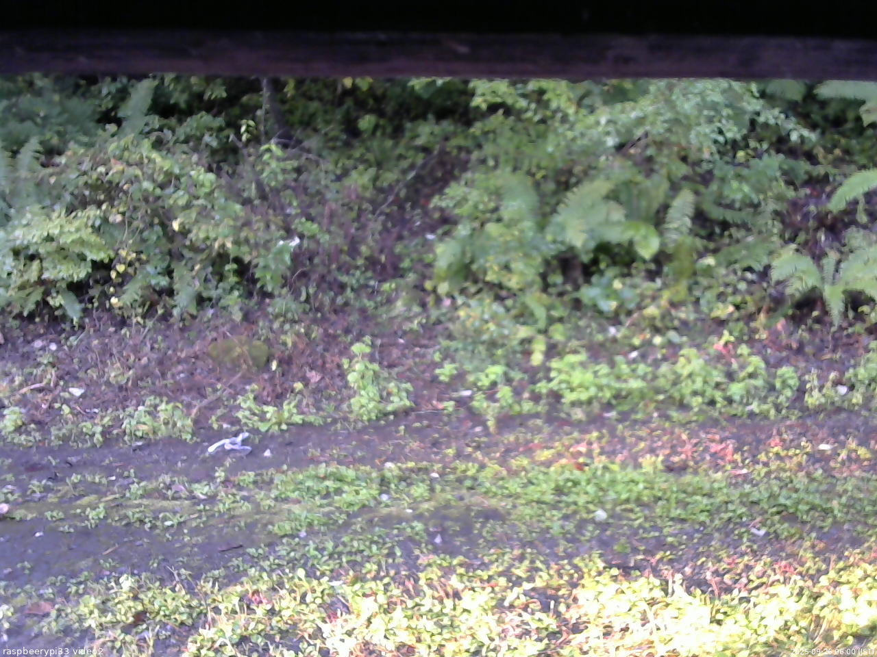 長野県菅平高原 ゆたか山荘 南側 2025/09/26 06:00