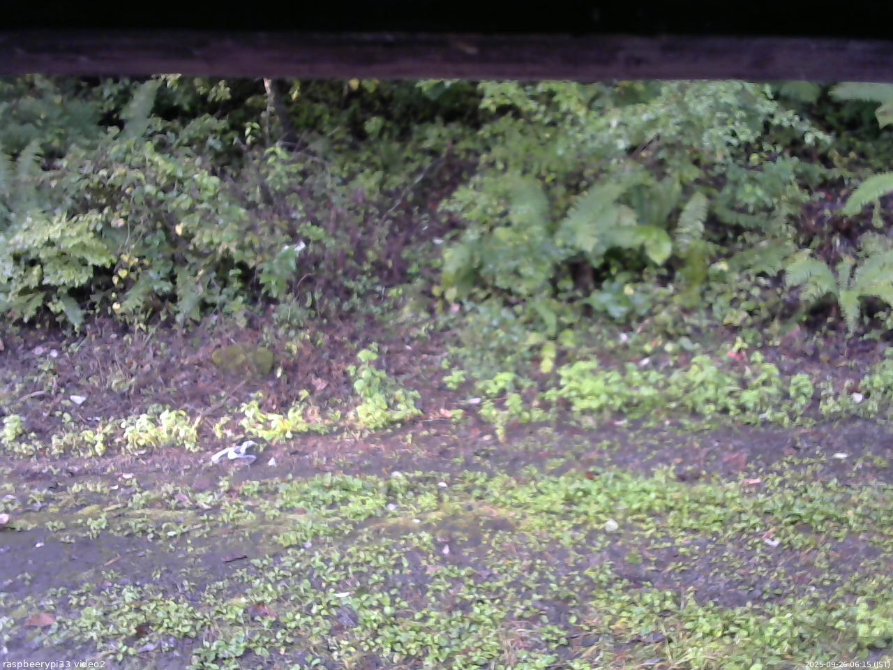 長野県菅平高原 ゆたか山荘 南側 2025/09/26 06:15