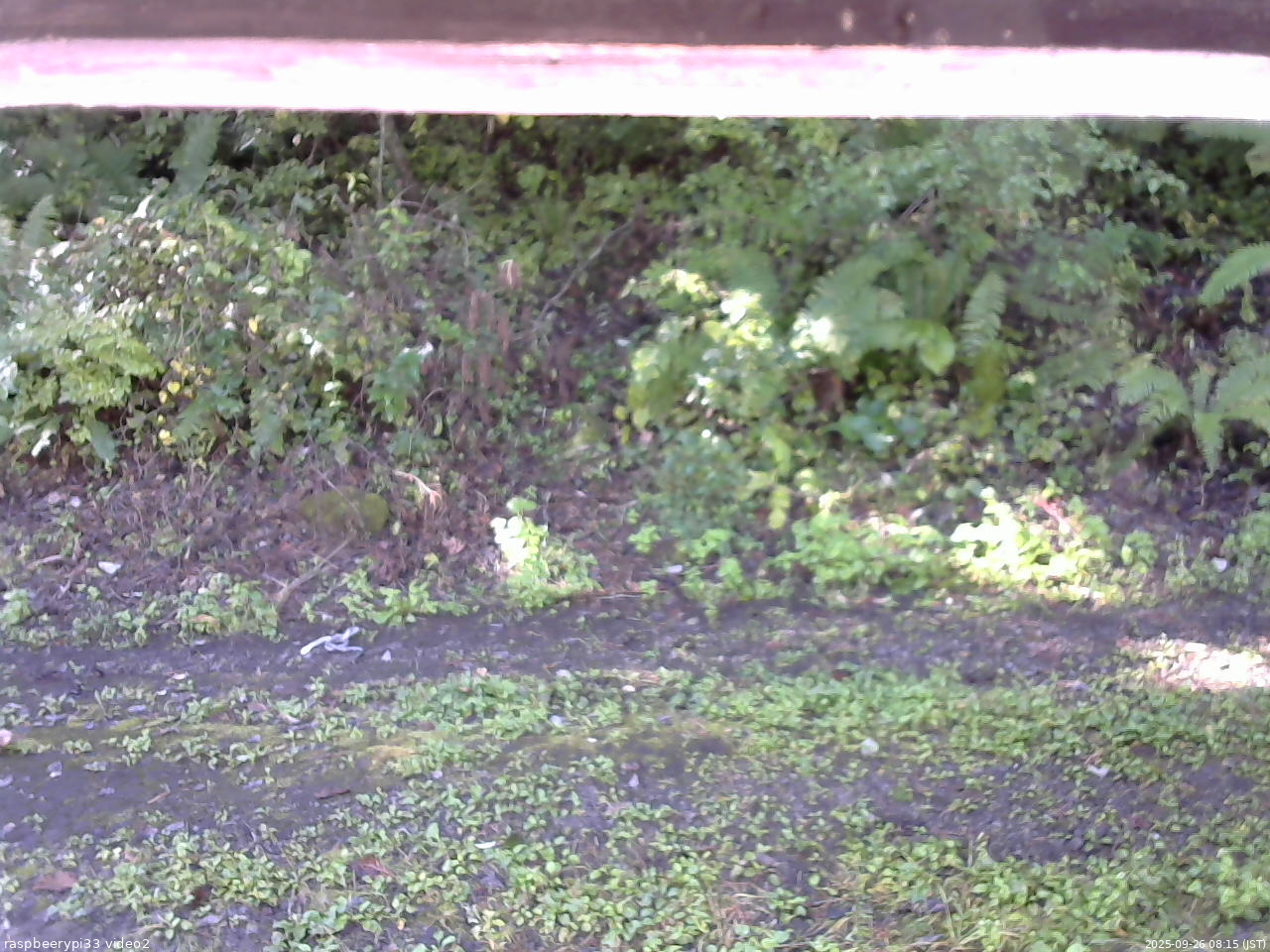長野県菅平高原 ゆたか山荘 南側 2025/09/26 08:15