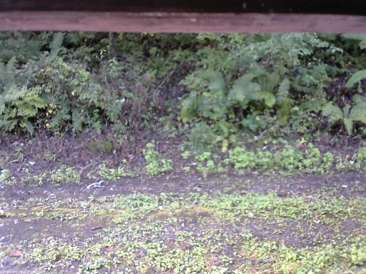長野県菅平高原 ゆたか山荘 南側 2025/09/26 08:45