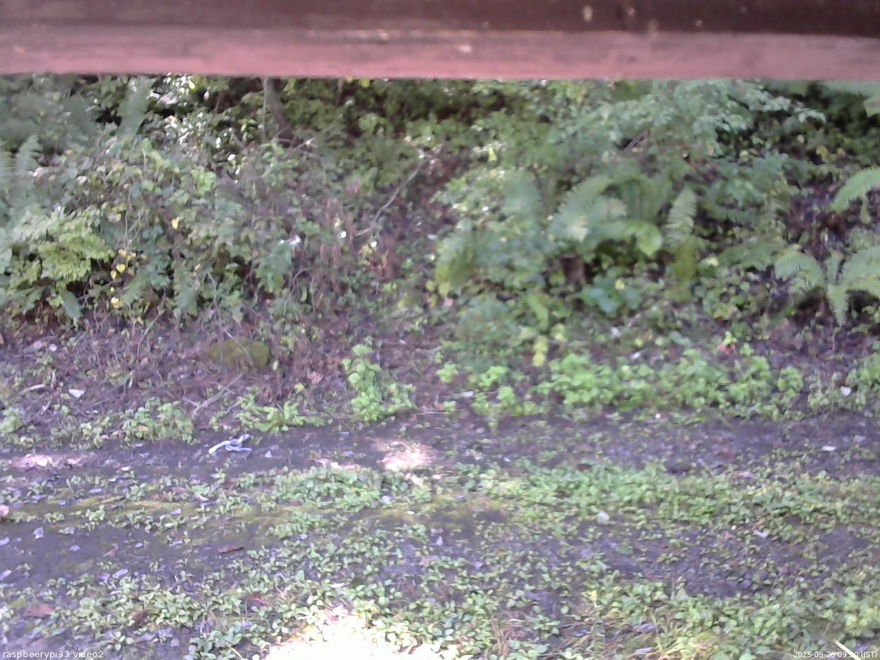 長野県菅平高原 ゆたか山荘 南側 2025/09/26 09:30