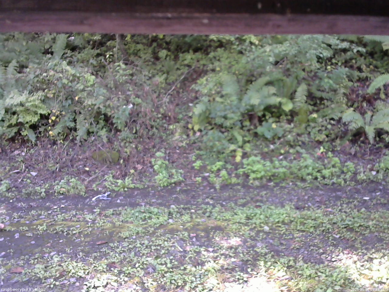 長野県菅平高原 ゆたか山荘 南側 2025/09/26 10:45