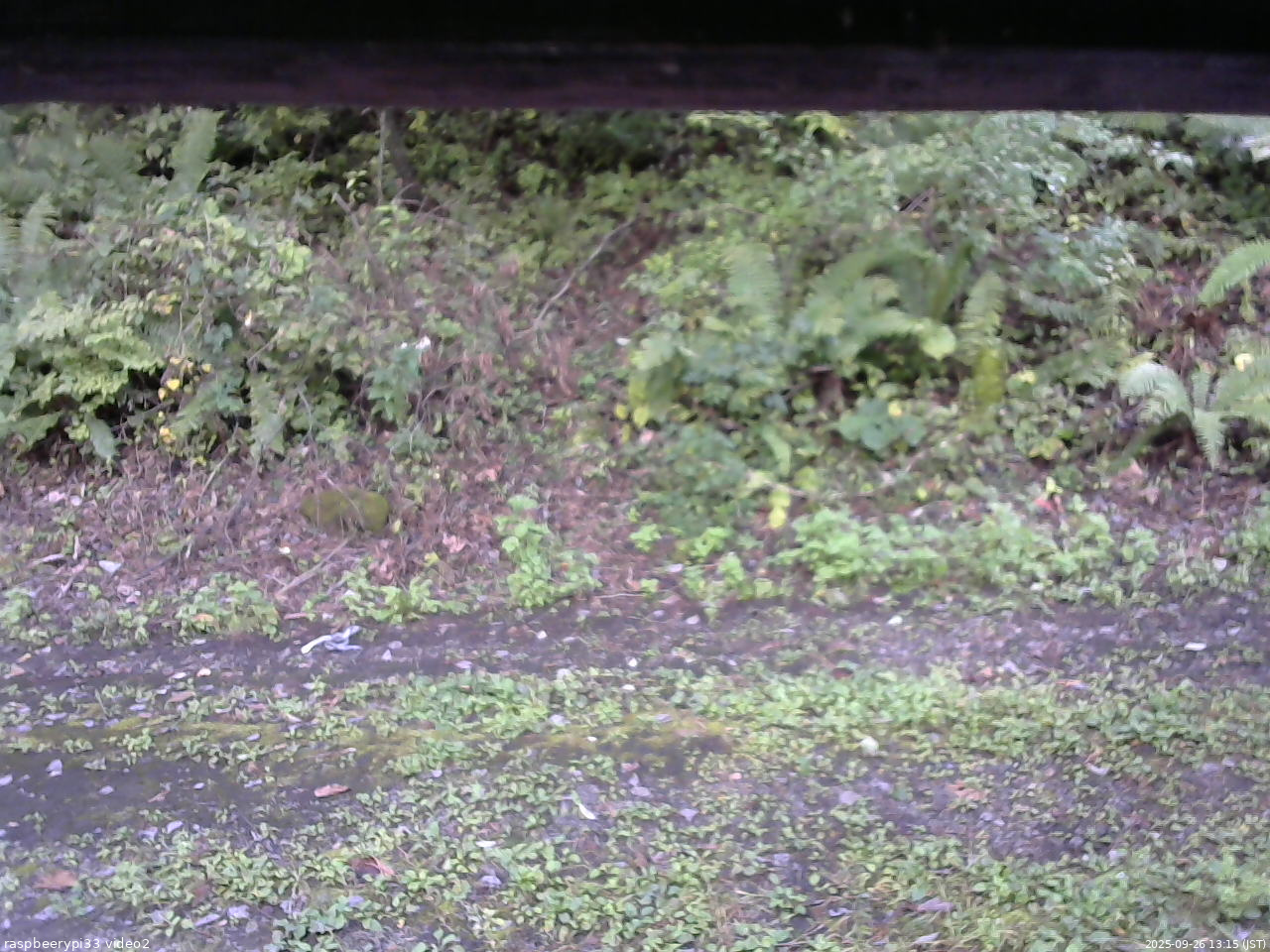 長野県菅平高原 ゆたか山荘 南側 2025/09/26 13:15