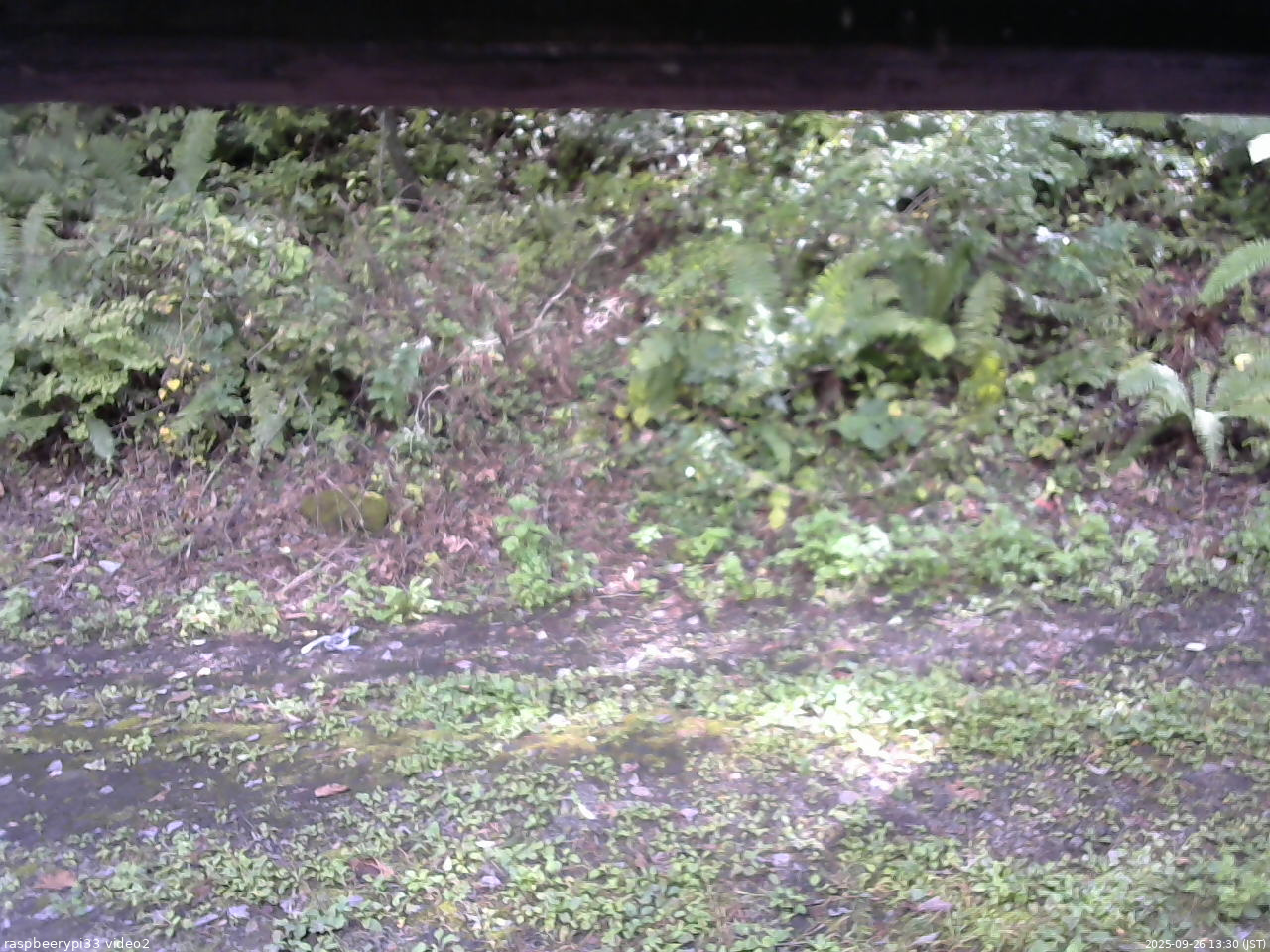 長野県菅平高原 ゆたか山荘 南側 2025/09/26 13:30