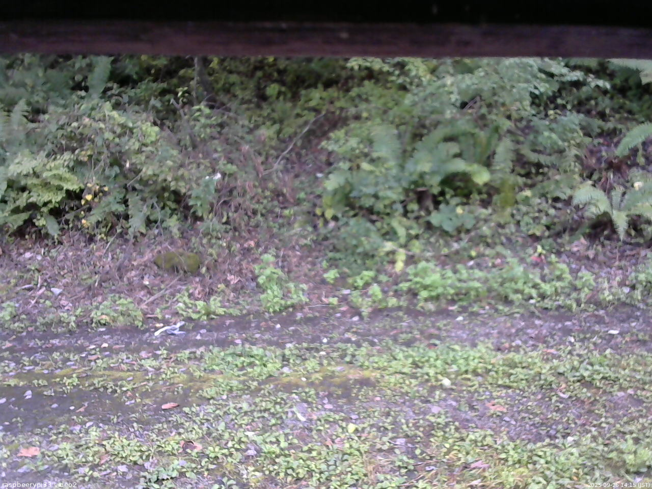 長野県菅平高原 ゆたか山荘 南側 2025/09/26 14:15