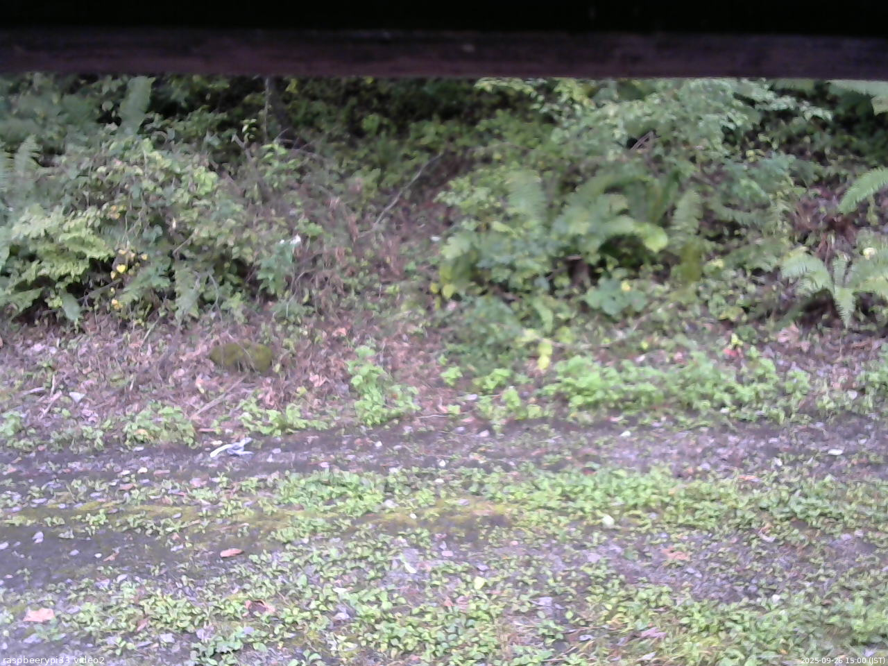 長野県菅平高原 ゆたか山荘 南側 2025/09/26 15:00