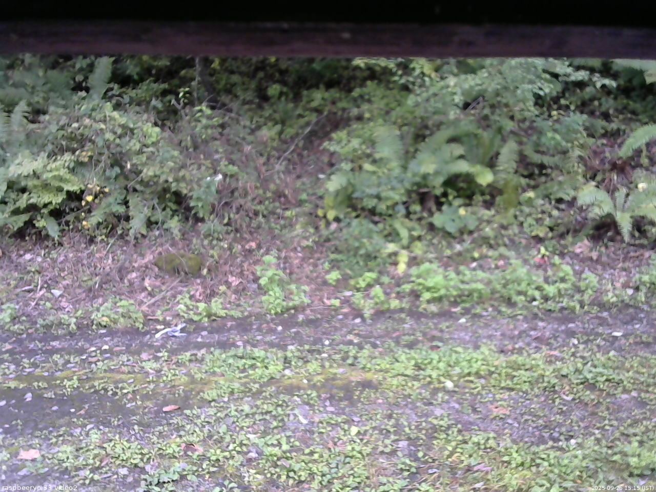 長野県菅平高原 ゆたか山荘 南側 2025/09/26 15:15
