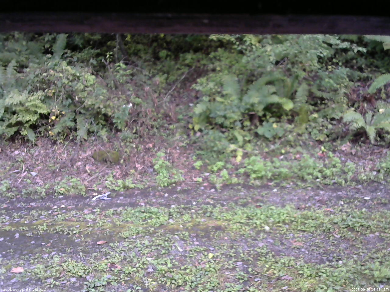 長野県菅平高原 ゆたか山荘 南側 2025/09/26 16:45